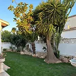 La Duna De فيلة